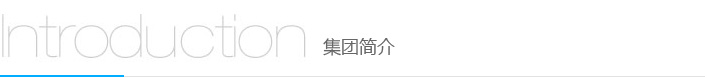 集团简介